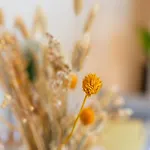 Guestready - The Perfect Hideout In * Caniço