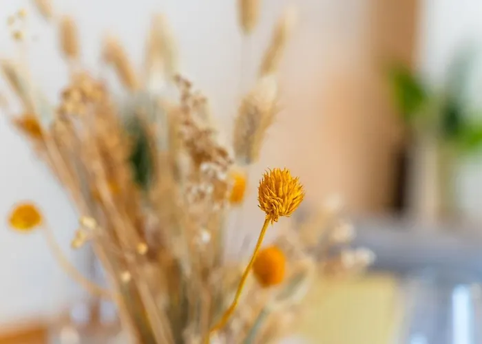 Guestready - The Perfect Hideout In * Caniço